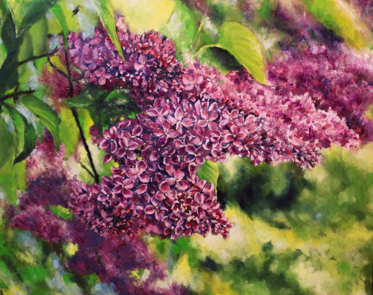 Сирень венгерская Савватеевых