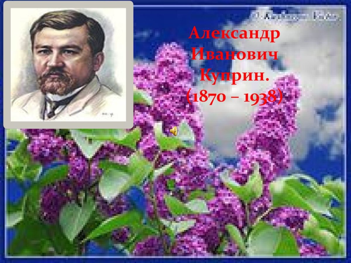 Егорнов сирень