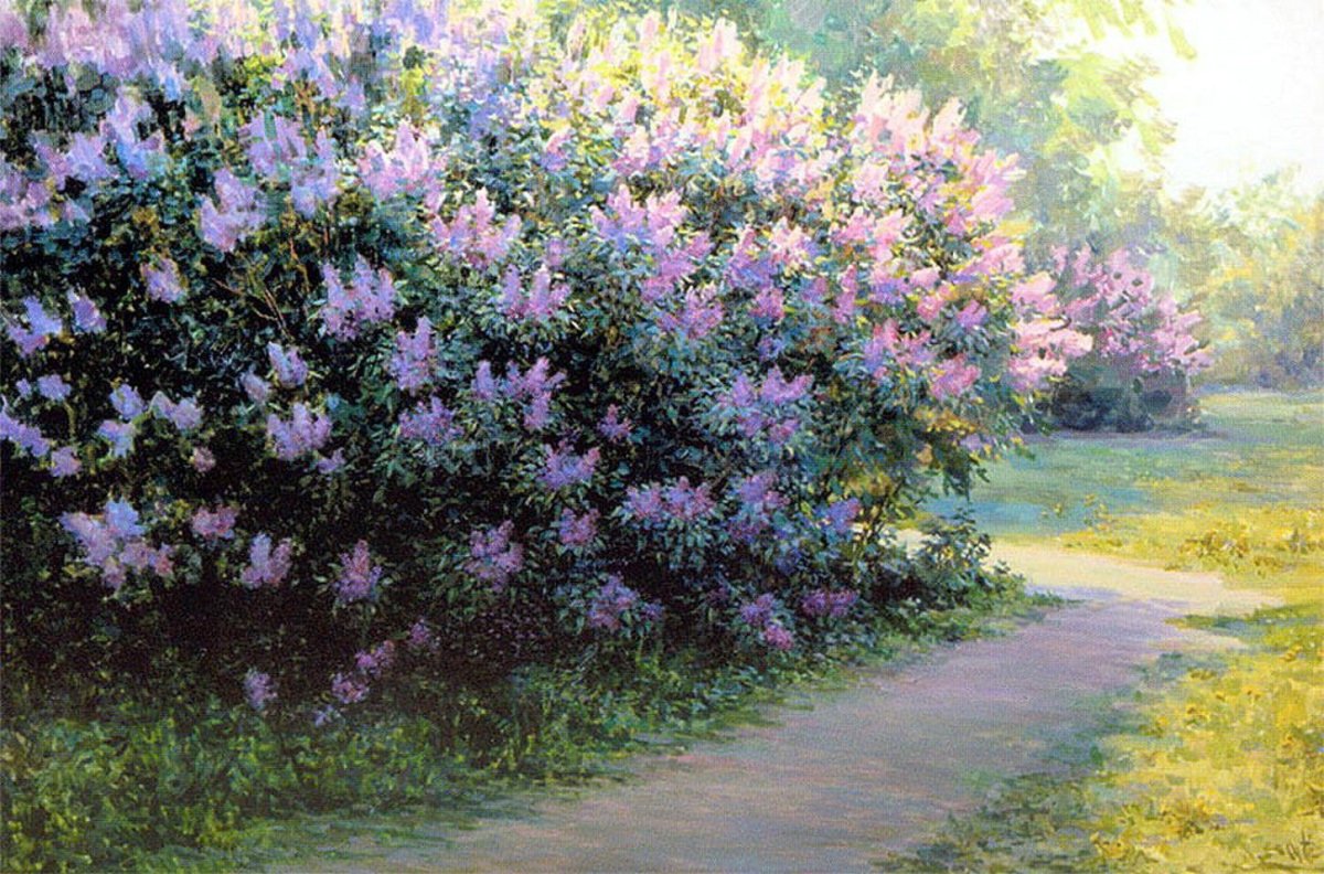 Сирень обыкновенная Ботанический атлас