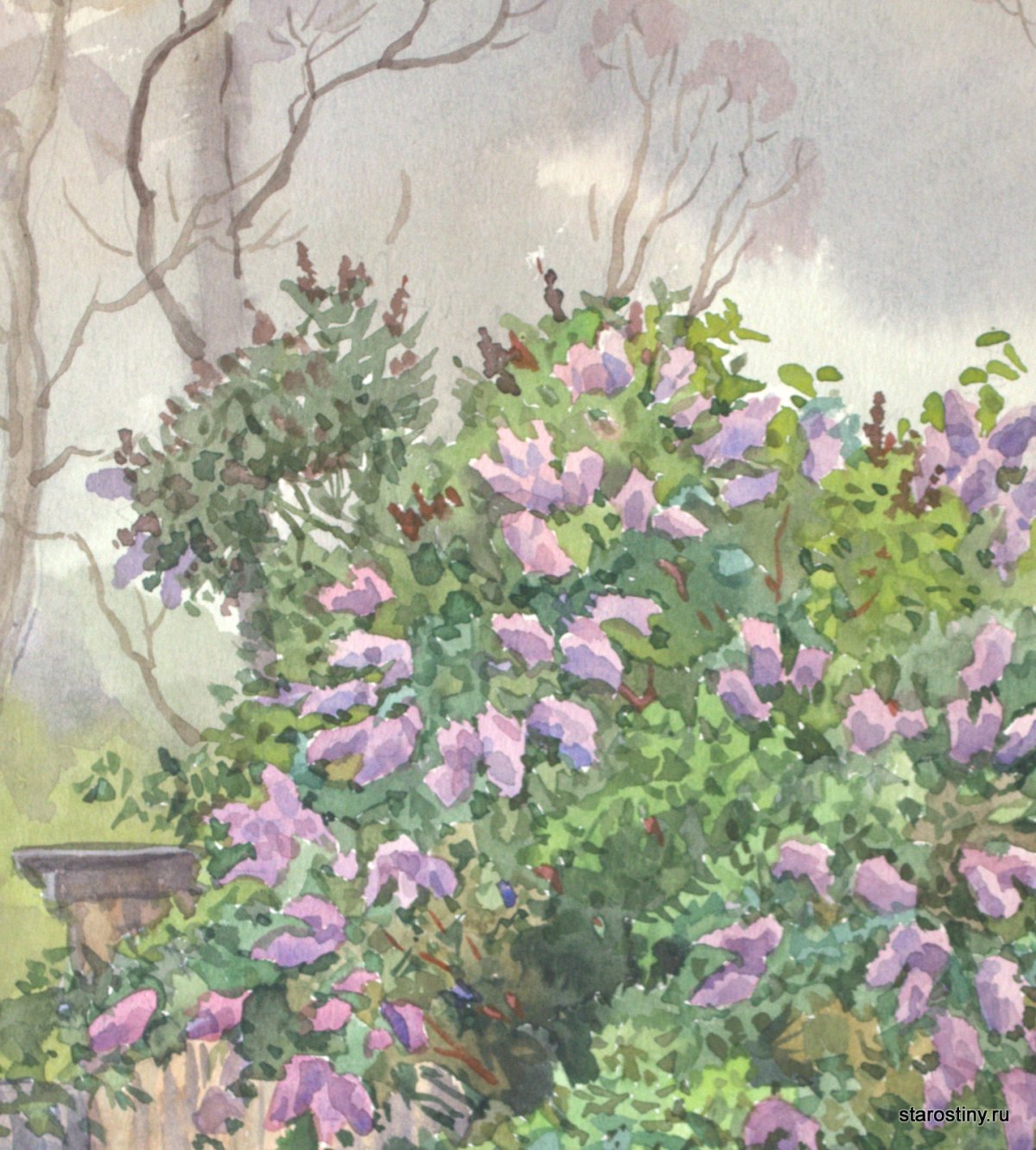 Цветы сирень живопись