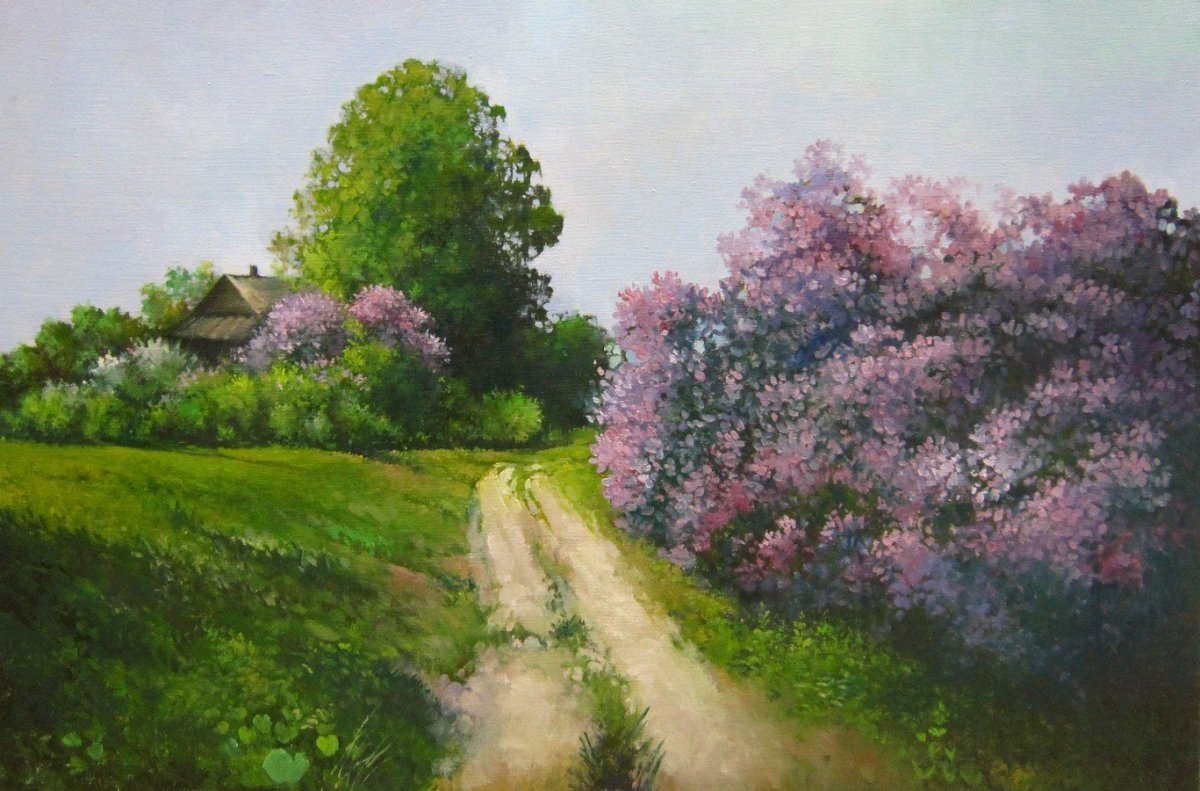 Сирень обыкновенная Заря коммунизма