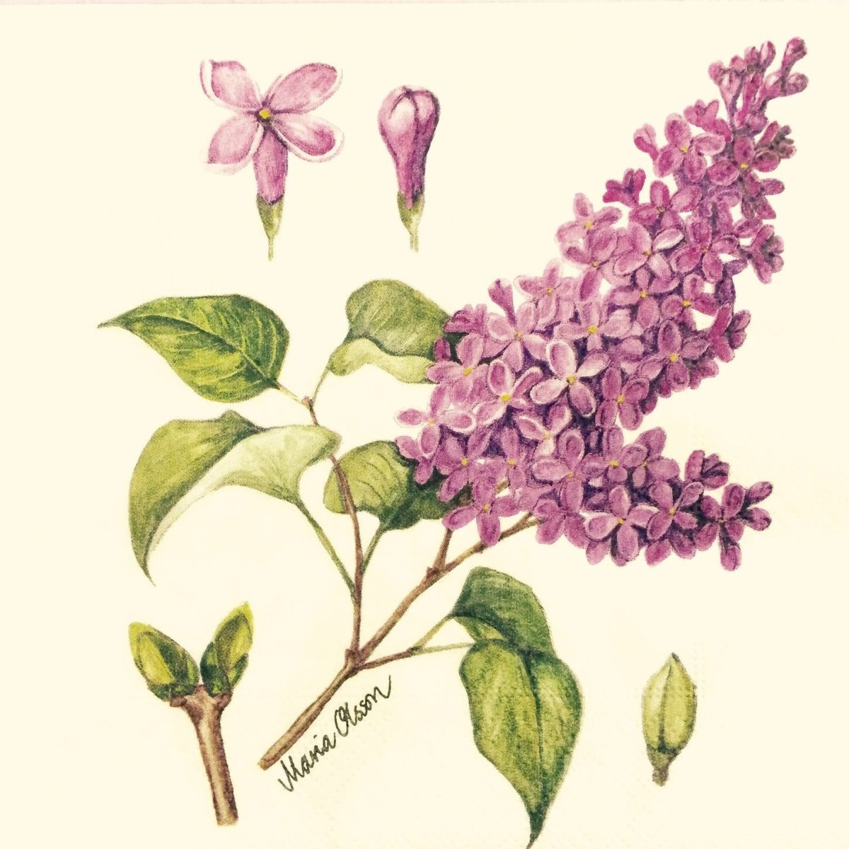 Девушка с сиренью живопись