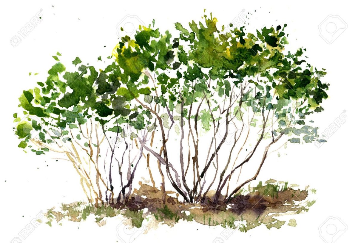 Jeannie Vodden картины