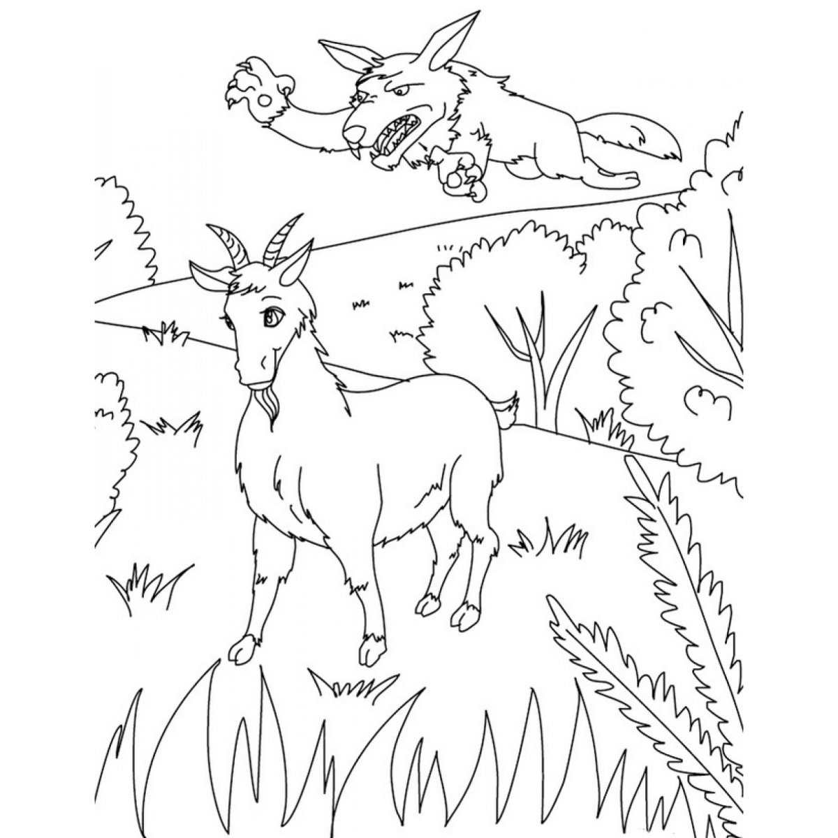 Раскраска животные леса