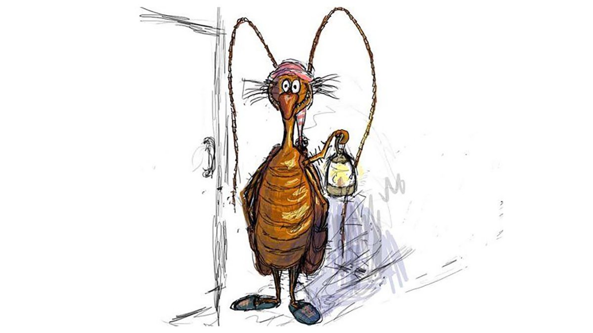 Водомерка раскраска для детей