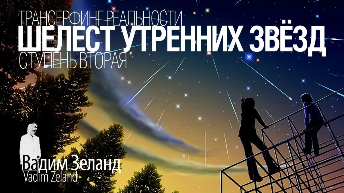 Владиз Зелан серфин реальности