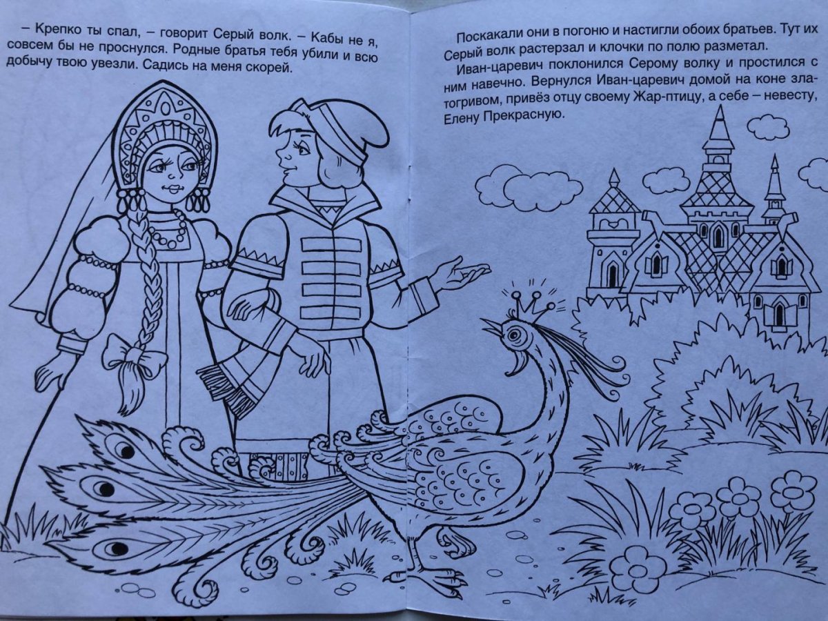 Иван Царевич и серый волк раскраска Жар птица
