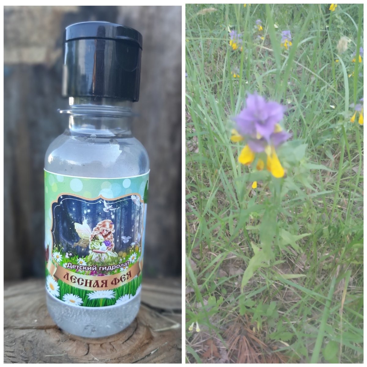 Раскраски для девочек принцы и принцессы