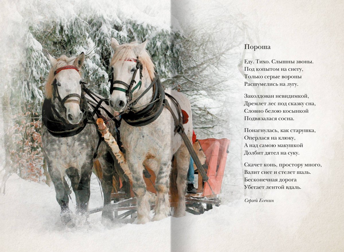 Диафильмы о зиме