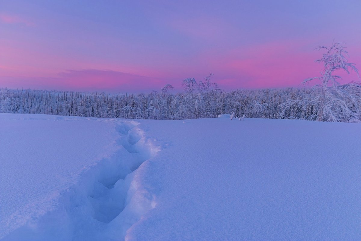 Рисунки к произведениям Есенина