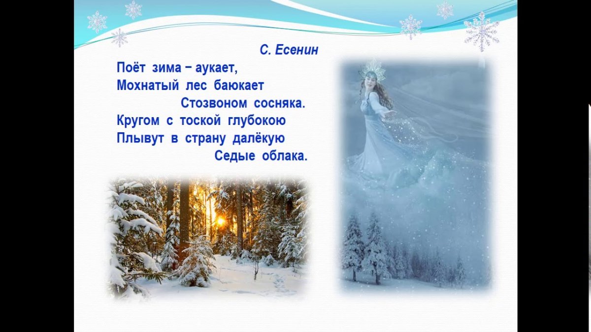 Лошади в зимнем лесу иней