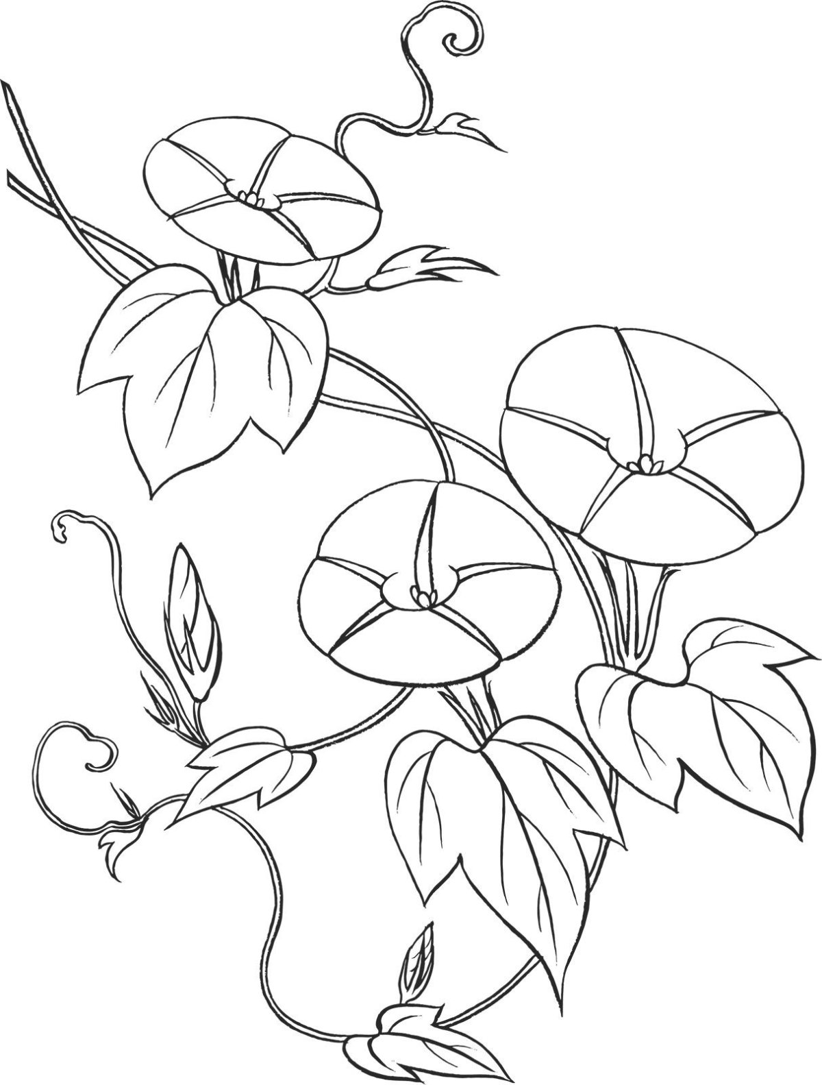 Вьюн стилизация