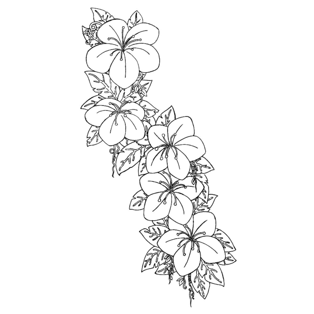 Эскизы цветов для рисования