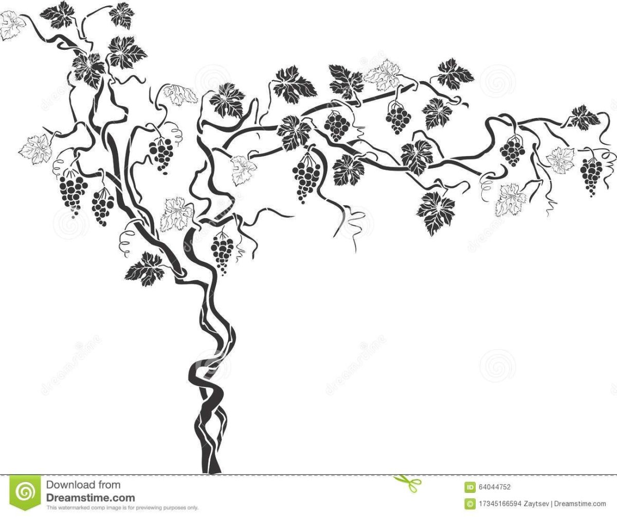 Трафарет Виноградная лоза на стену