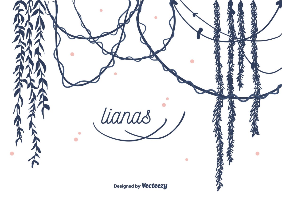 Лиана стилизация