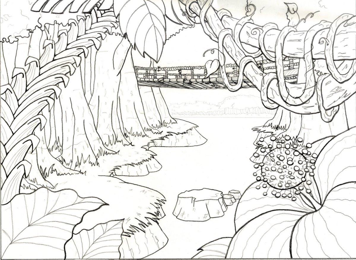 Раскраска природа джунгли