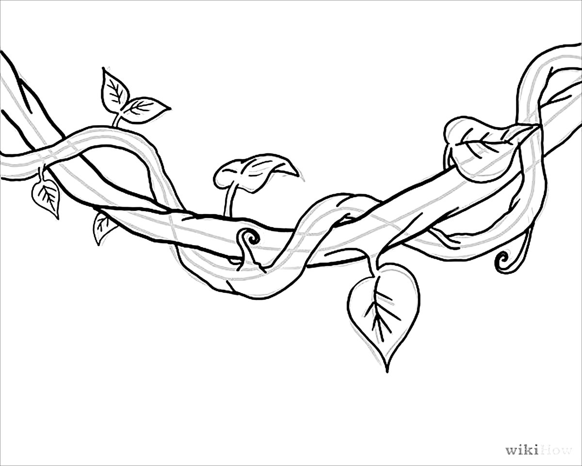 Лианы раскраска