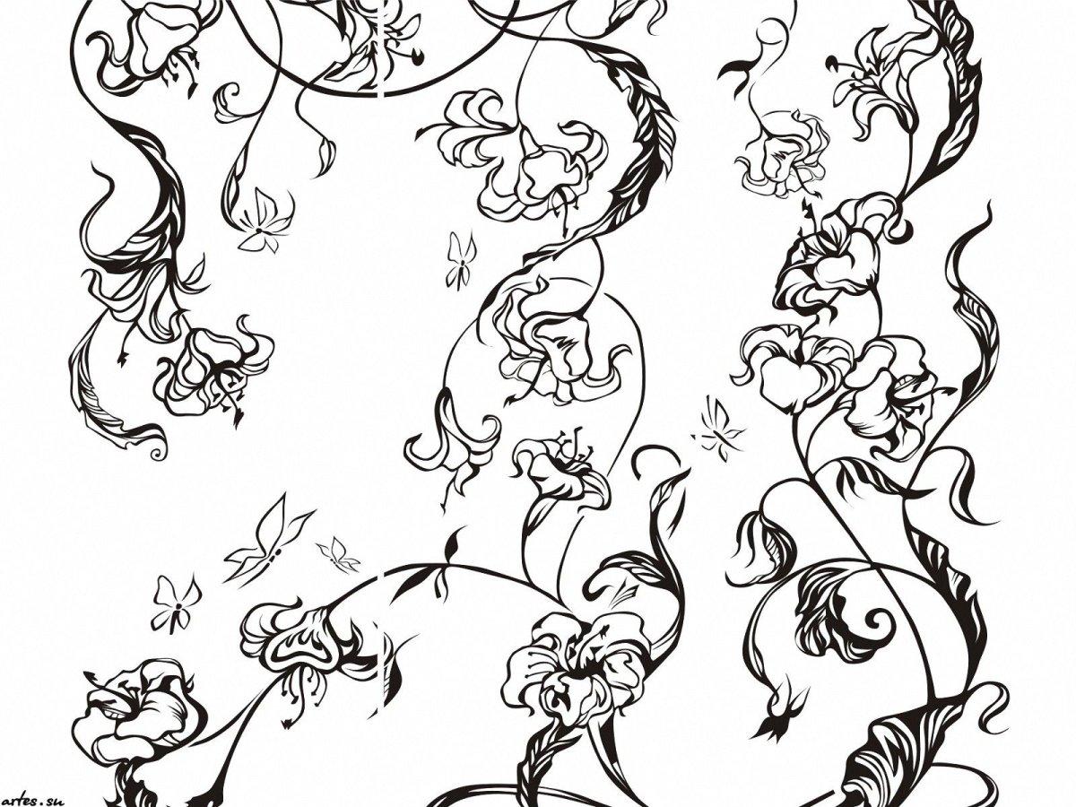 Вьющиеся цветы рисунок