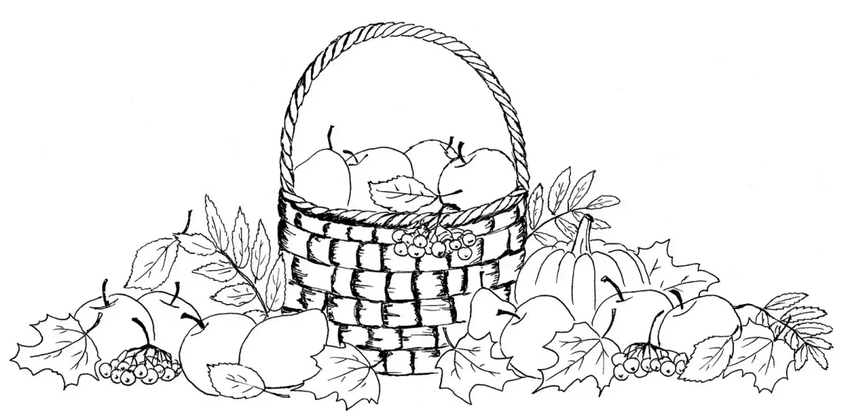 Корзина с овощами раскраска для детей