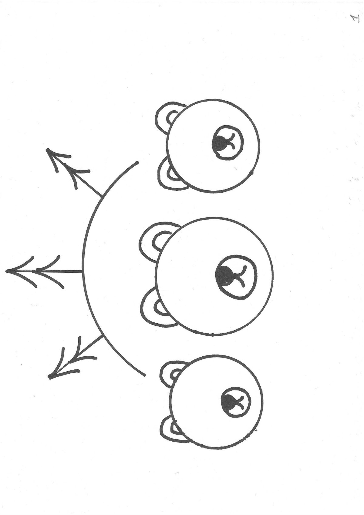 Купания медведат Бианки