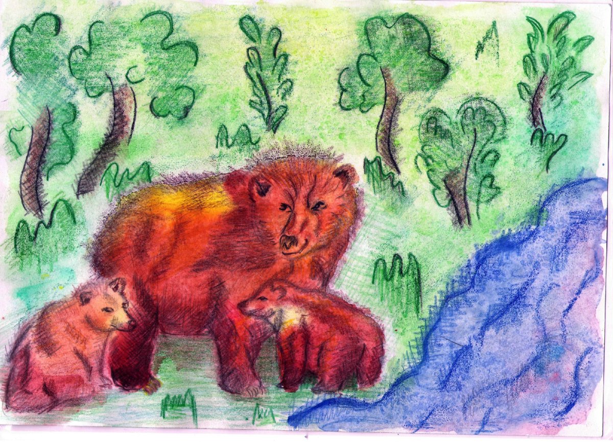 Раскраска Медведица с медвежатами