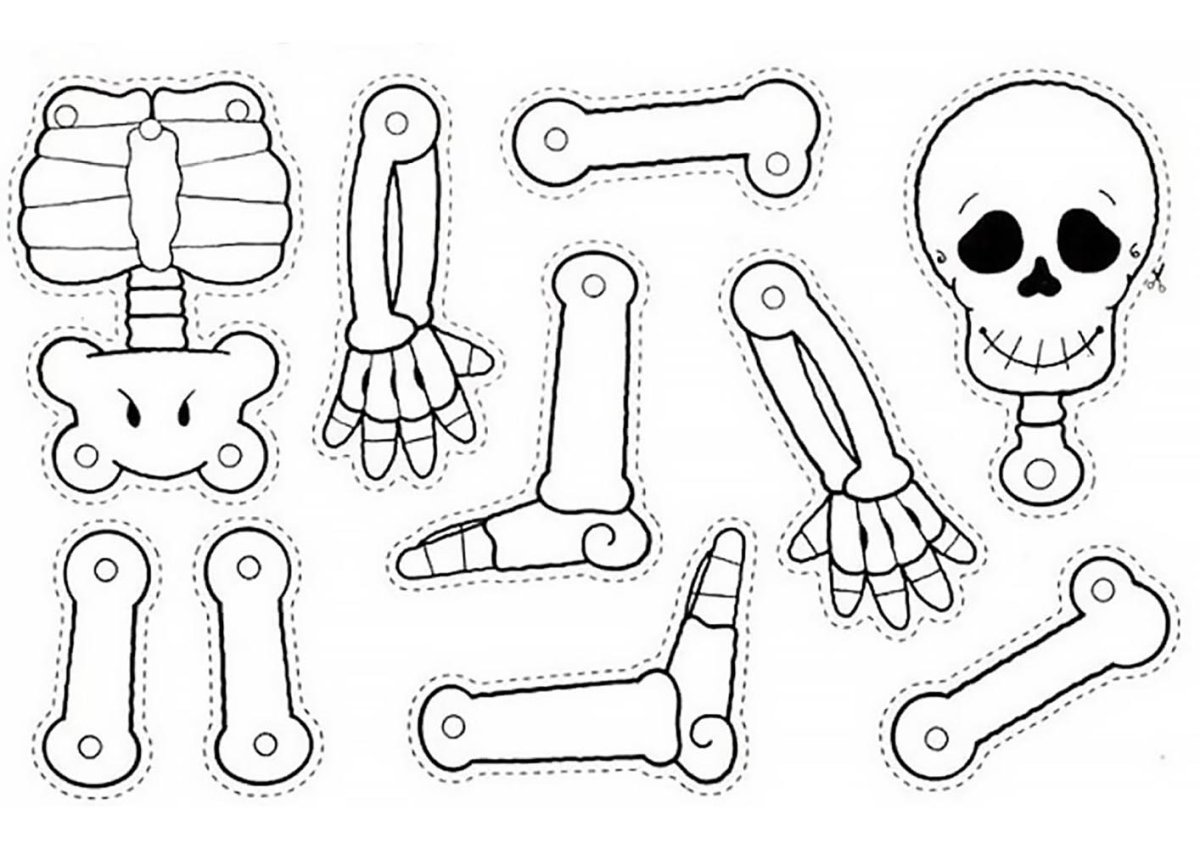 Аппликация скелет