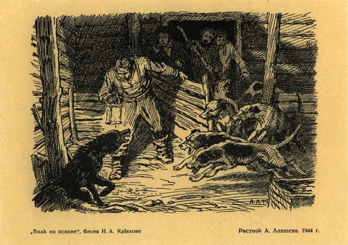 Лаптева волк на псарне