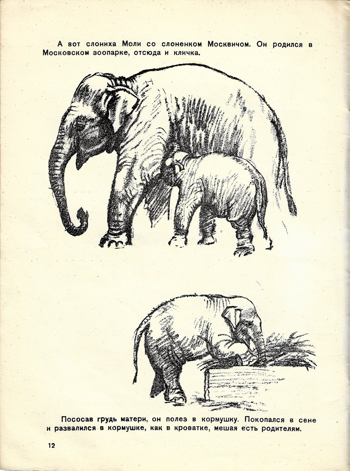 Произведение Ушинского гуси