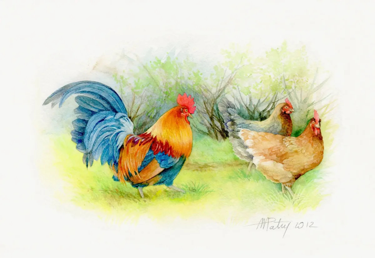 Сен-Санс карнавал животных куры и петухи