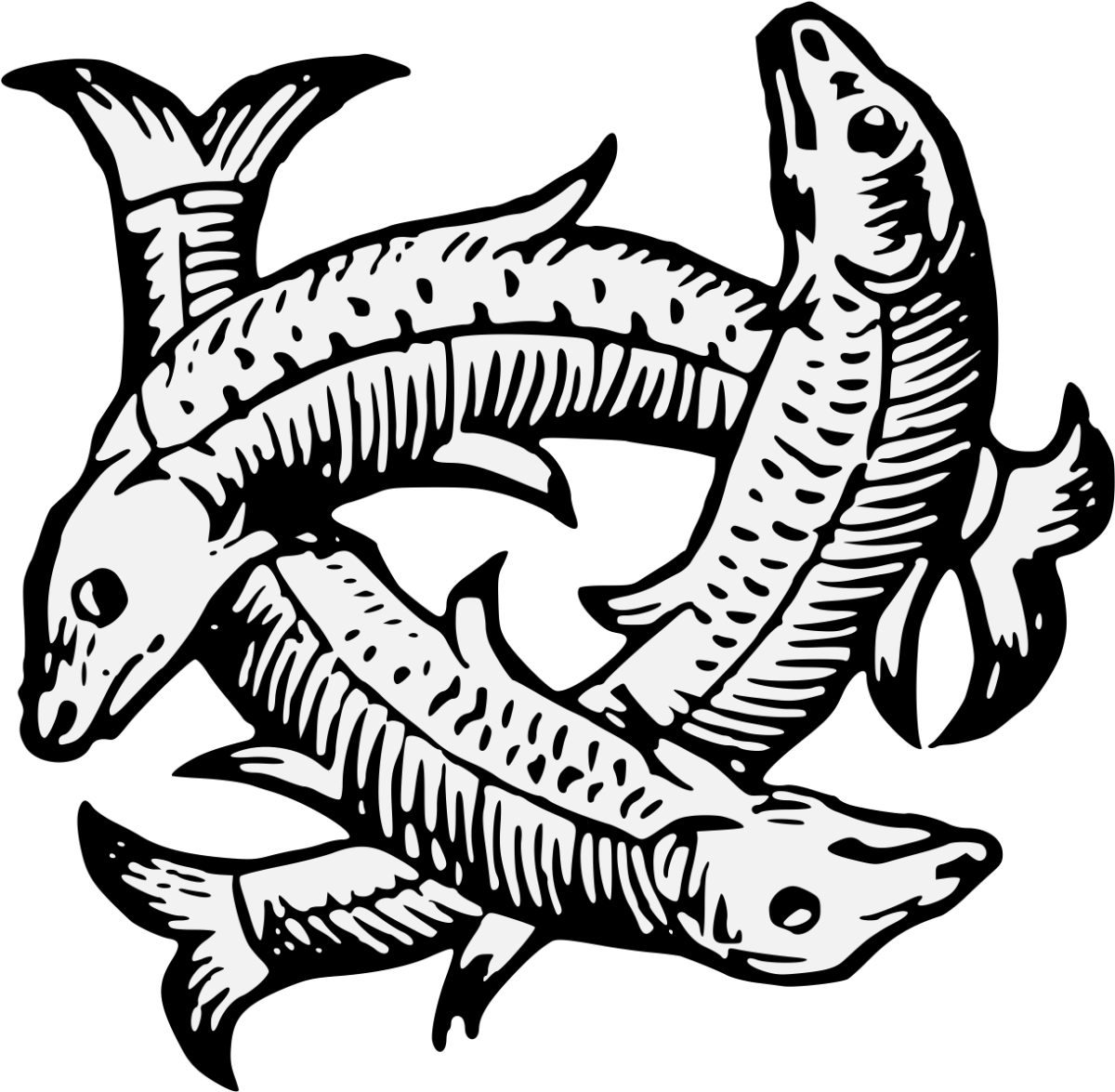 Осетр раскраска для детей