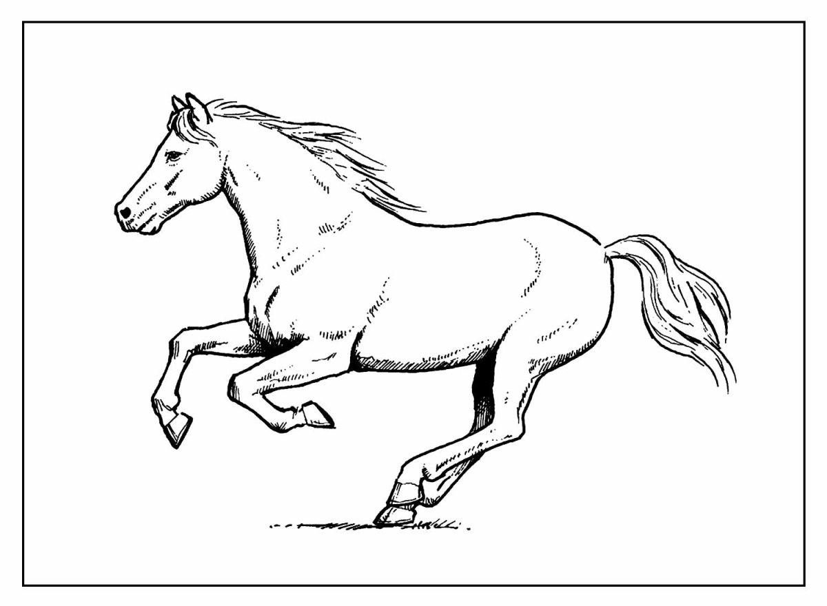 Картинка лошадь раскраска