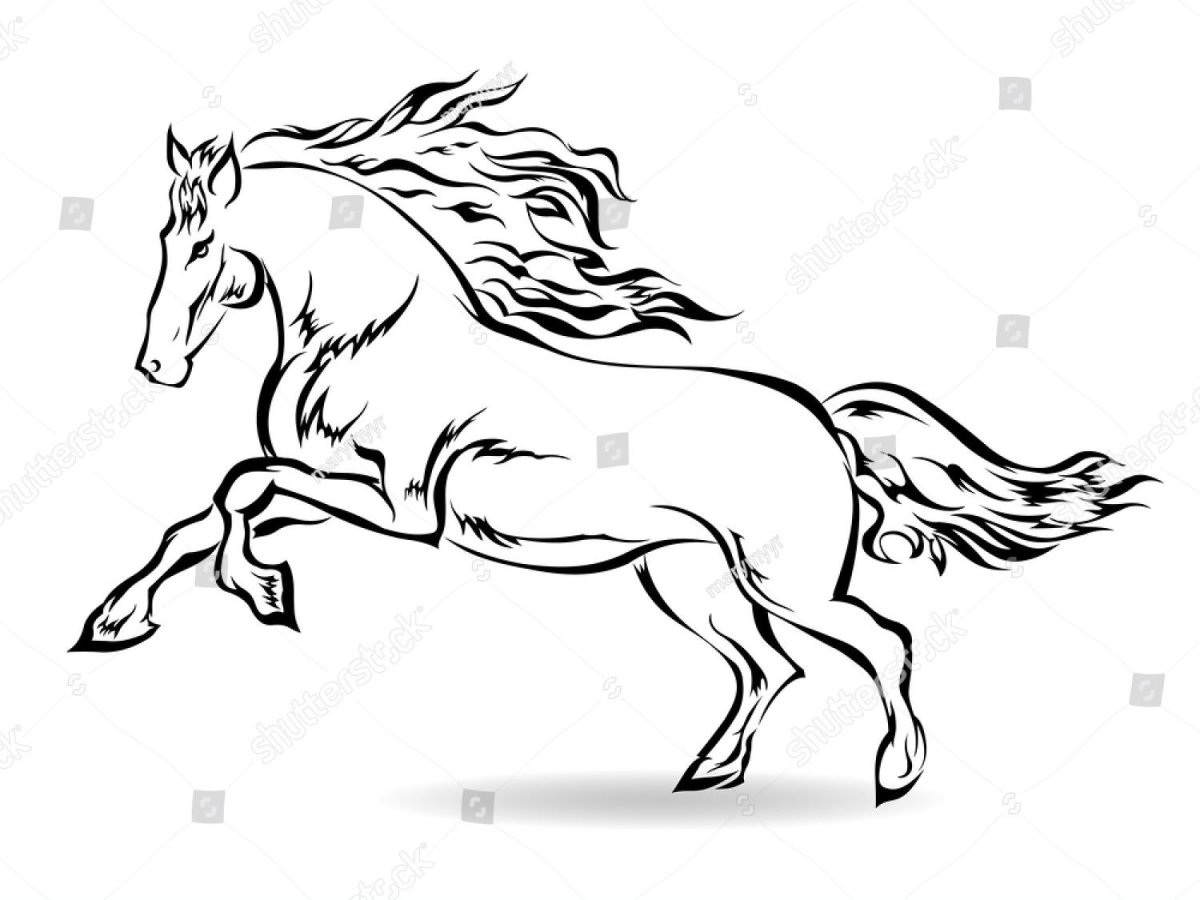 Лошадь в прыжке сбоку раскраска