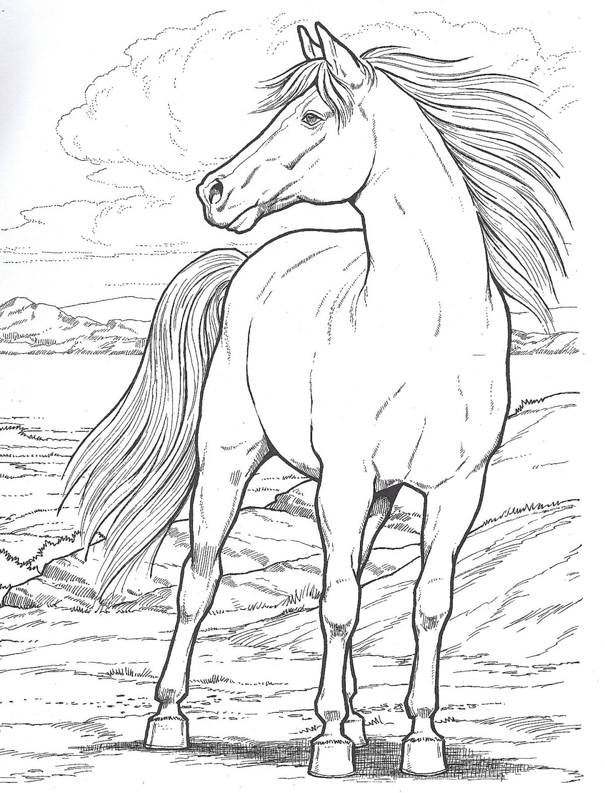 Лошадь рисунок раскраска