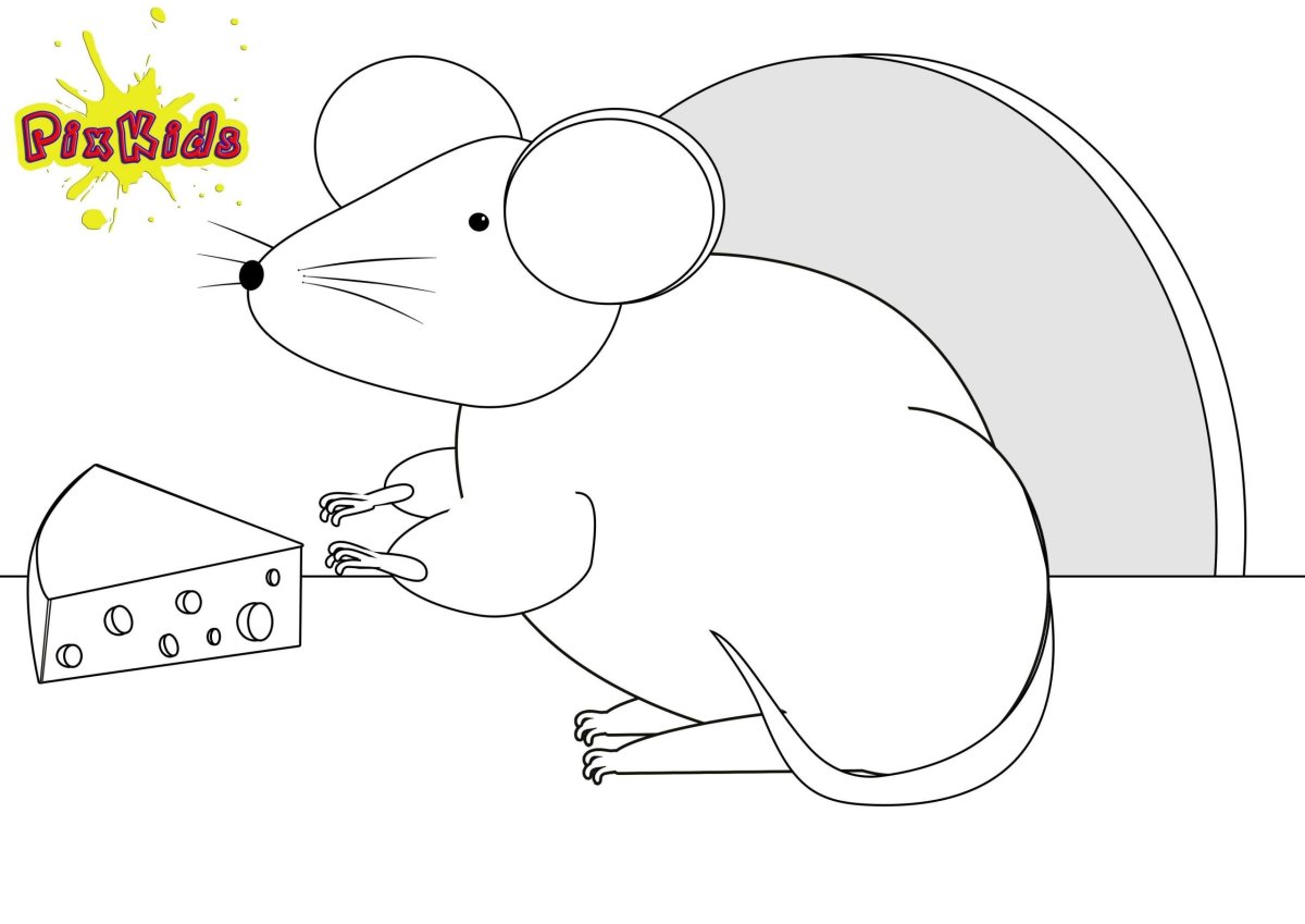 Раскраска мышка