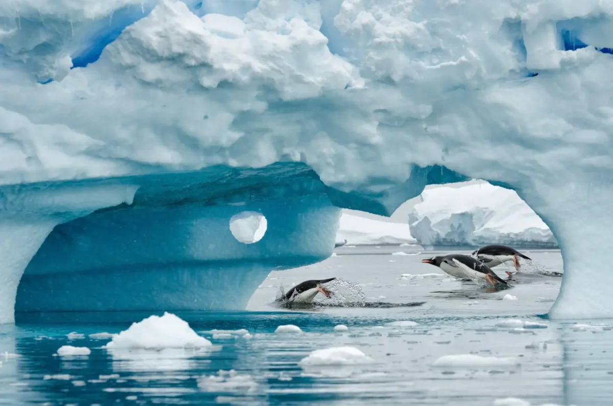 Полюса Антарктиды