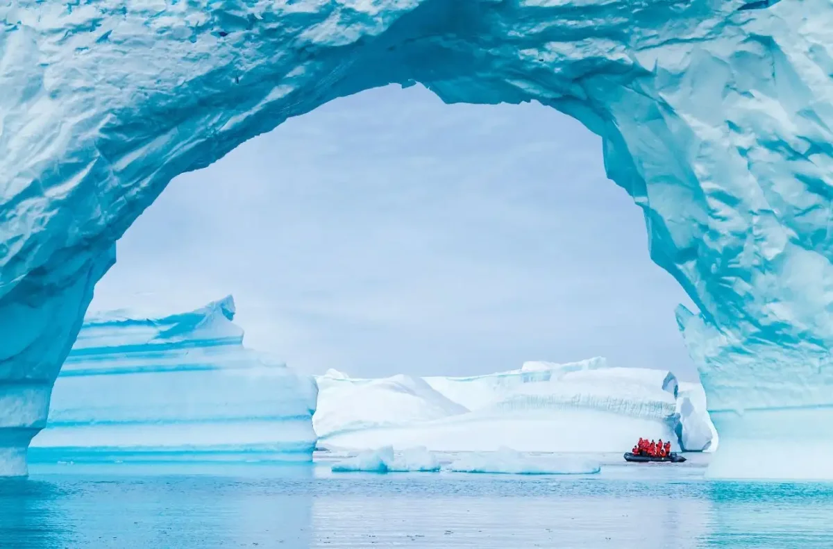 Антарктида арт