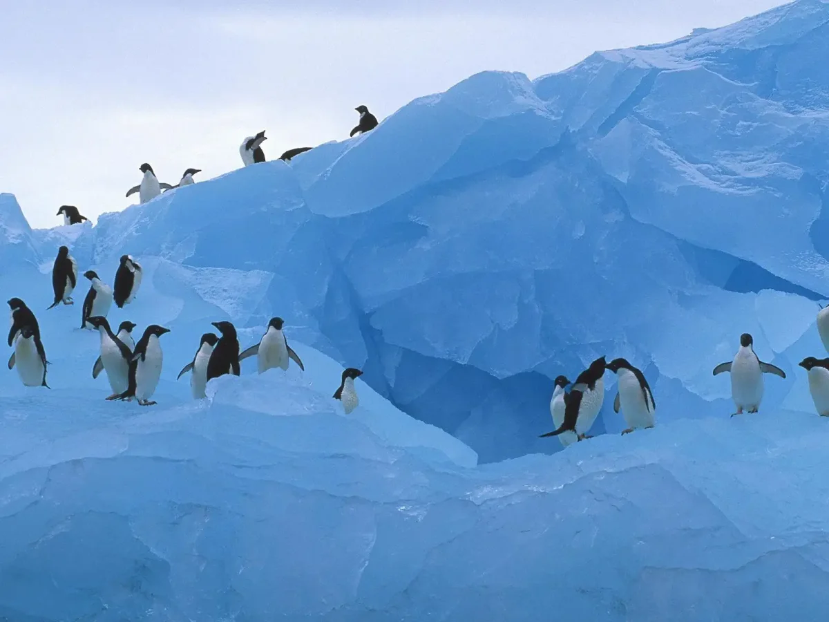 Антарктида закат