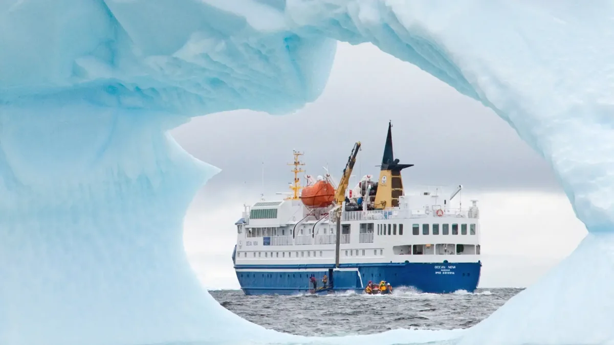 Пингвины в Антарктиде