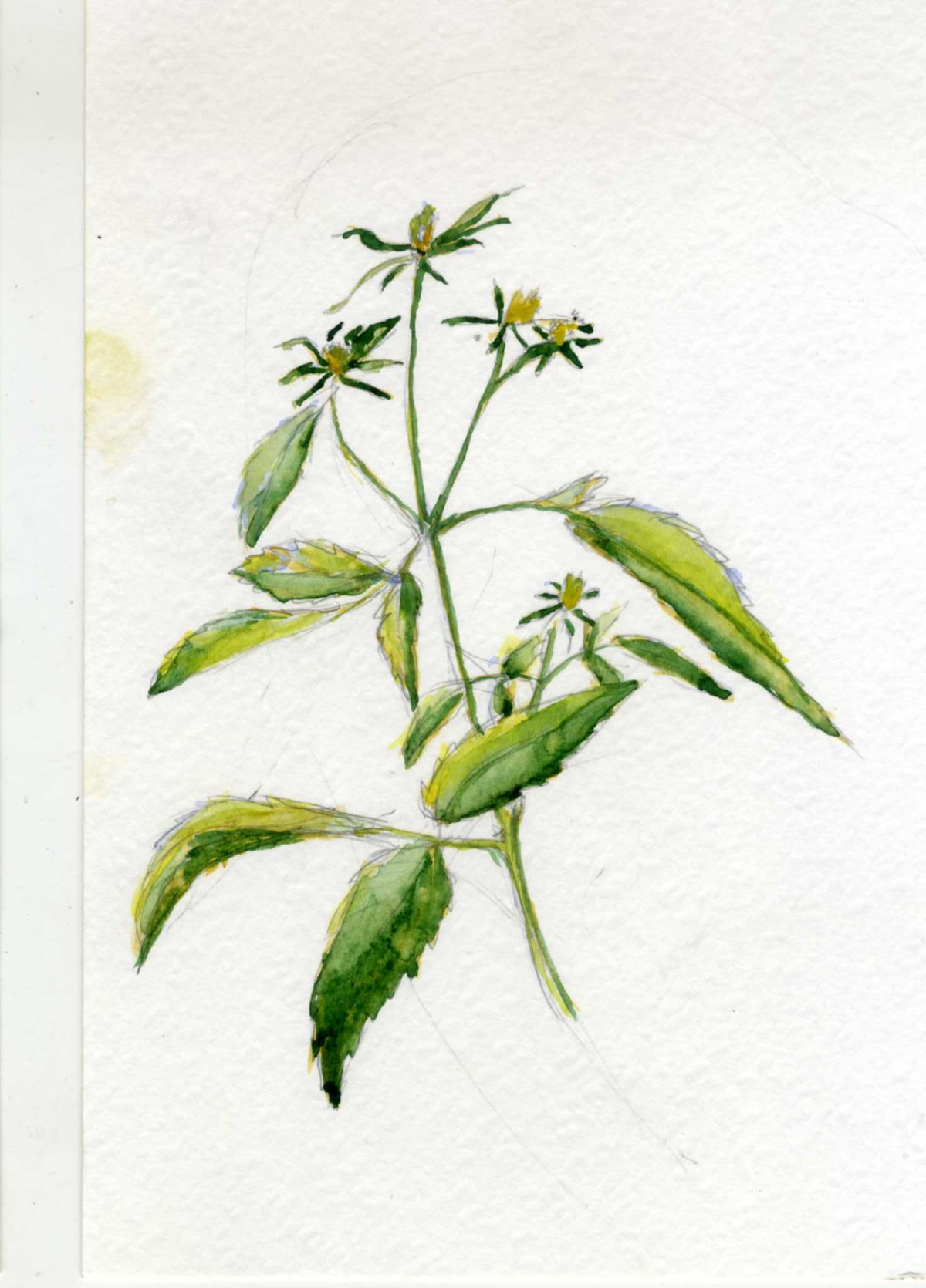 Тату лампочка эскиз