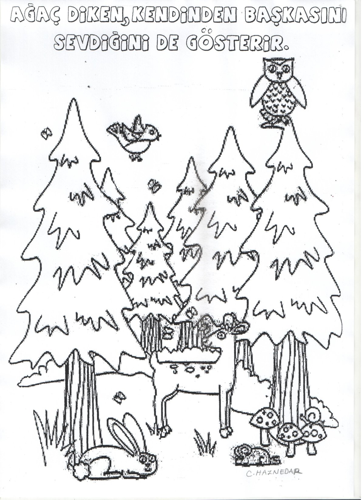 Охрана леса раскраска