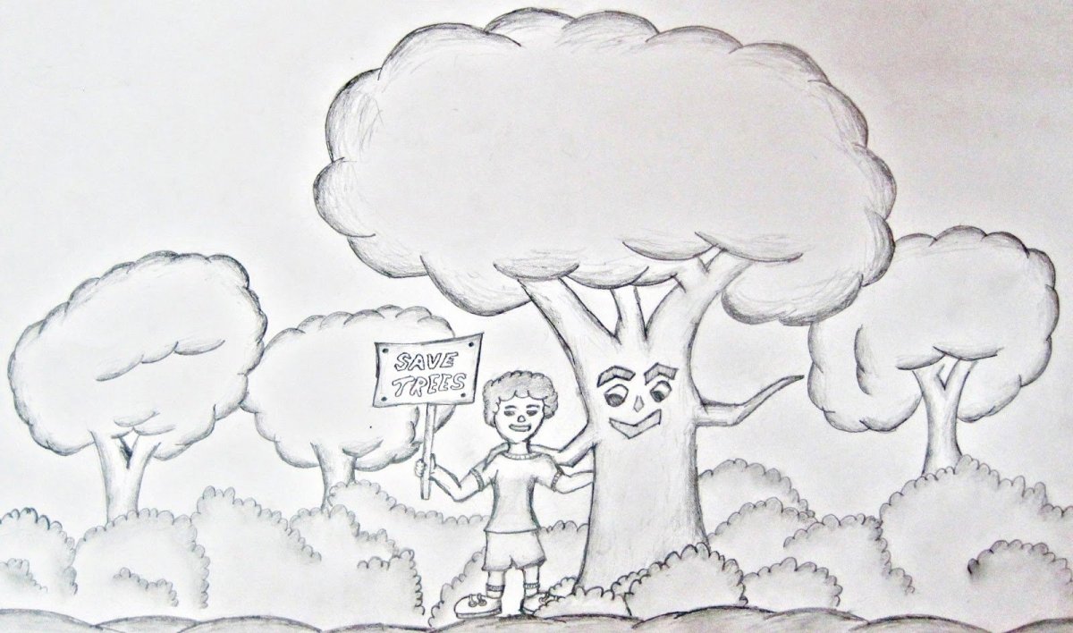 Плакат берегите деревья