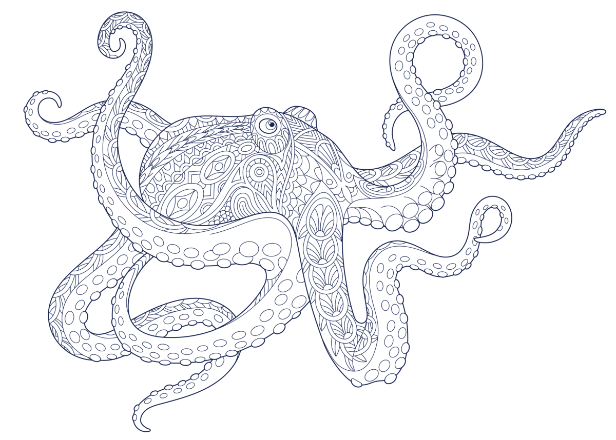 Морское дно раскраска