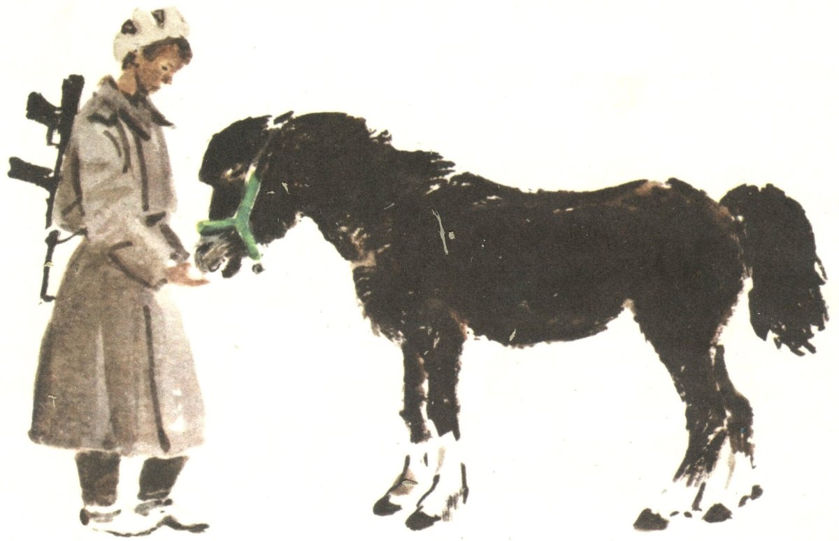 Пинкисевич художник