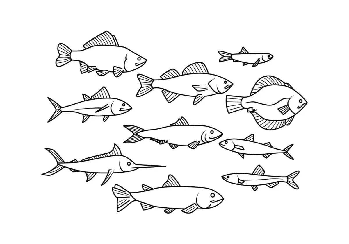 Схематичное изображение рыбы