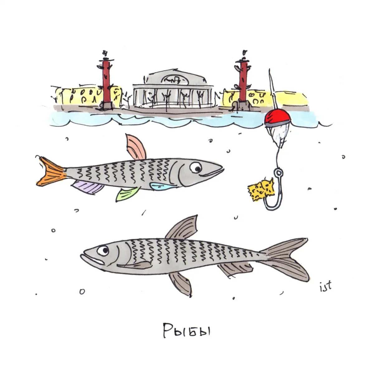 Корюшка нарисованная