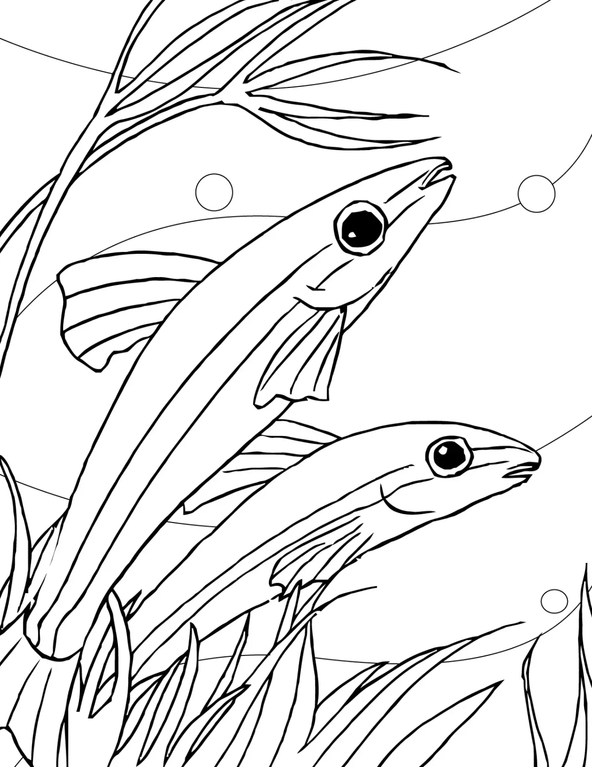 Рыба контур вектор