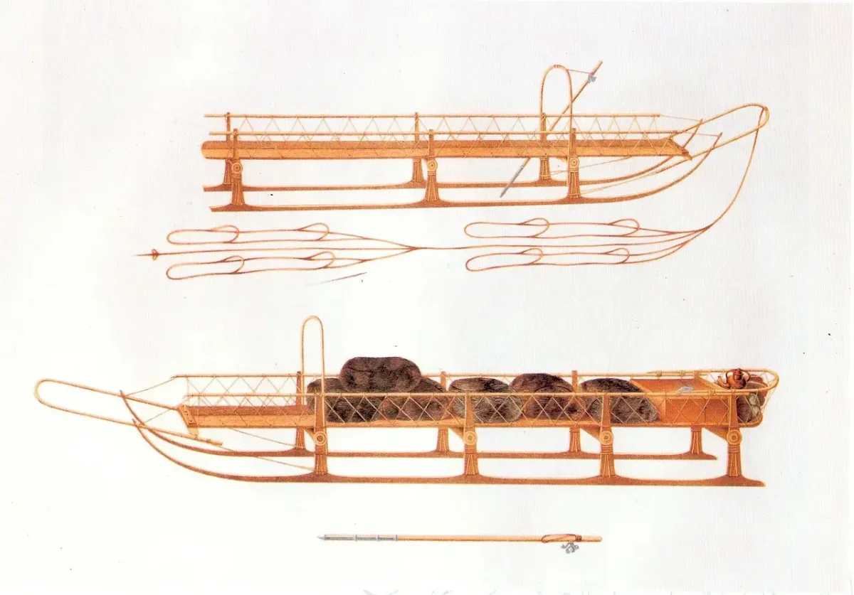 Дугокопыльные Нарты