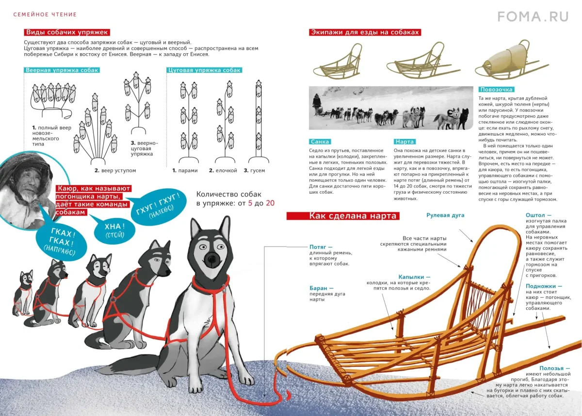 Как устроены Нарты