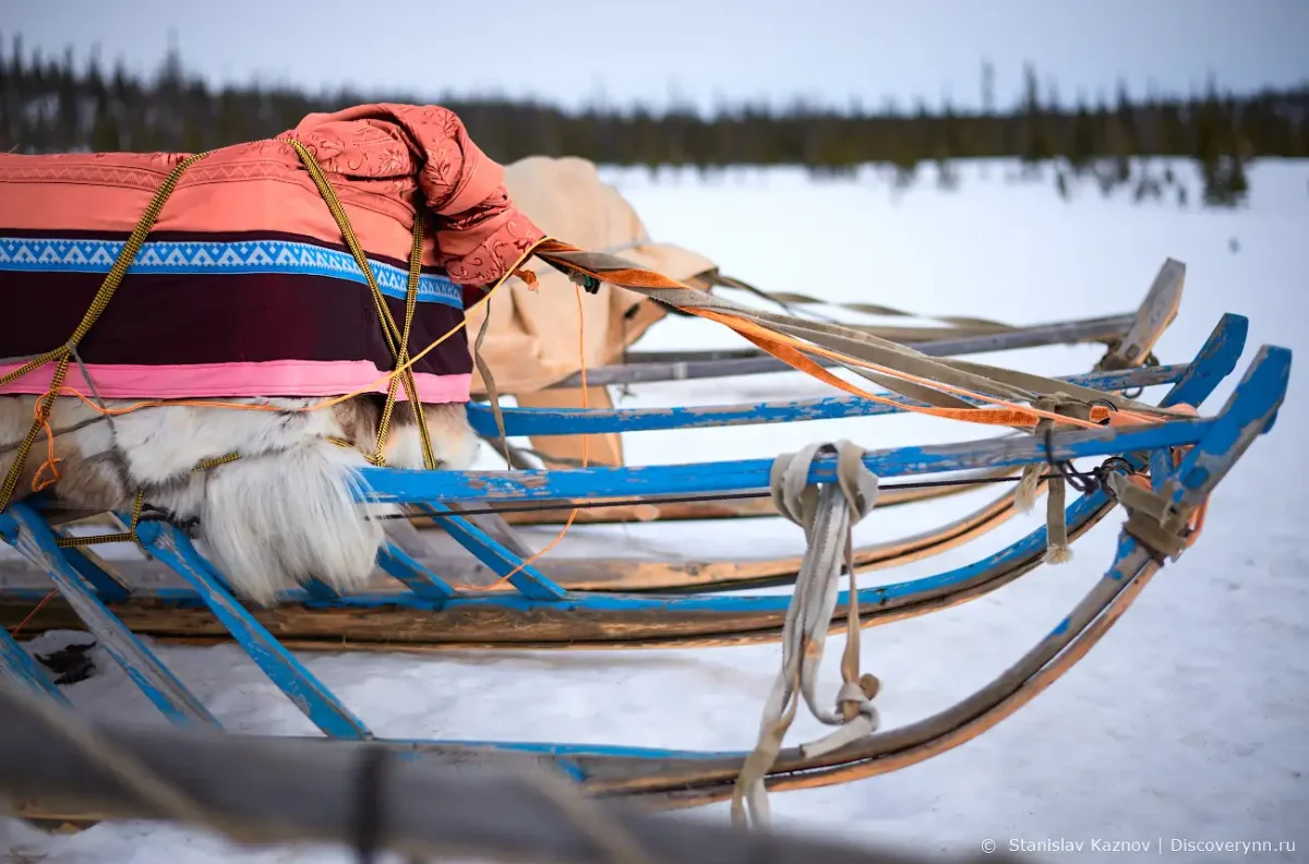 Тундра Нарты