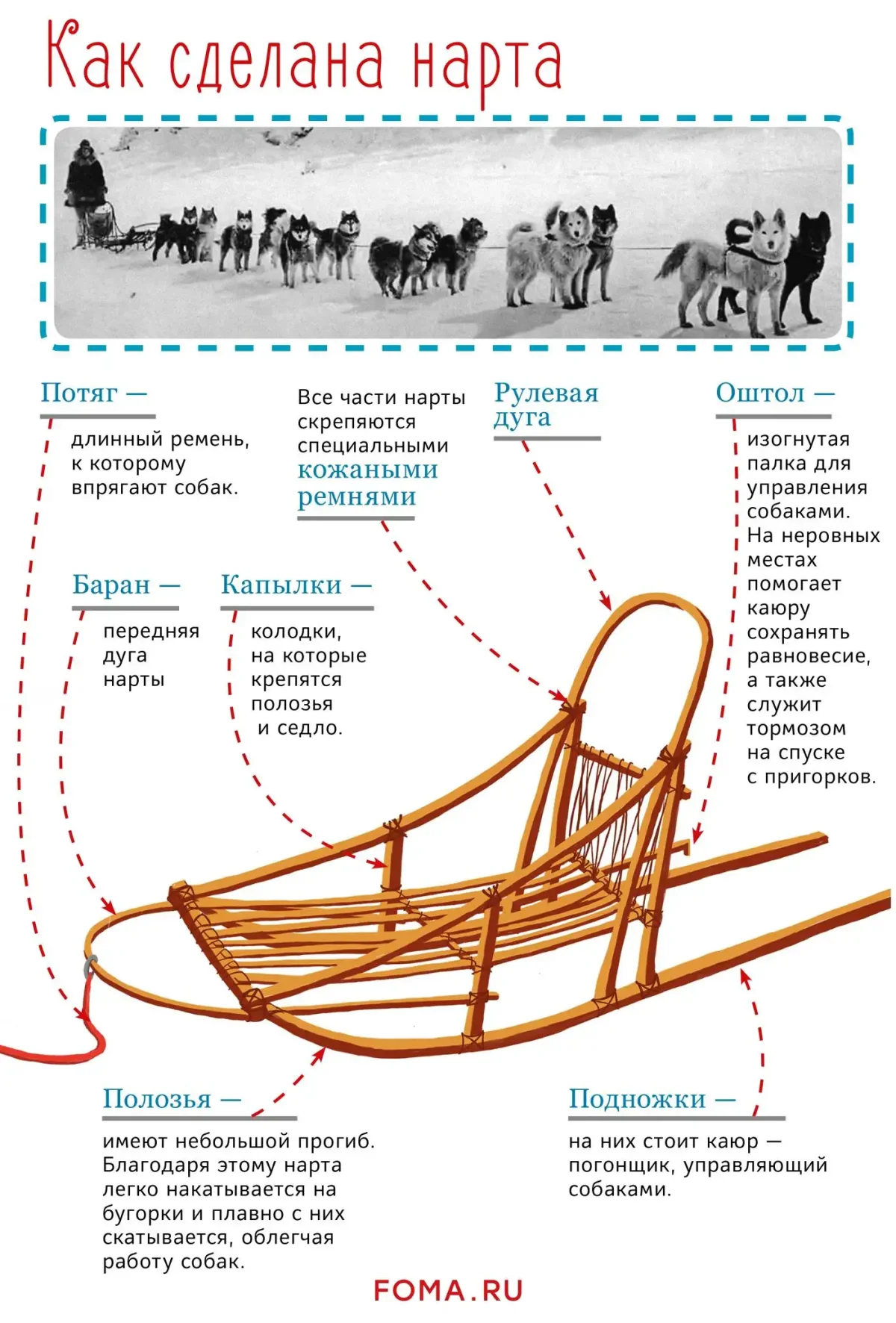 Ездовые упряжки схема